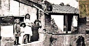 997- Blida - Gorges de la Chiffa - Hotel du Ruisseau des Singes2